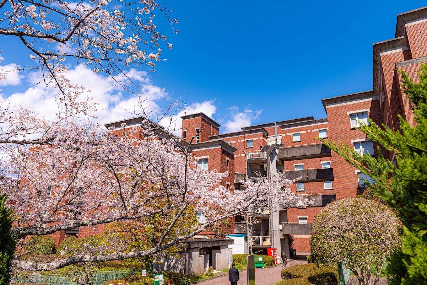 靜岡縣立大學校園