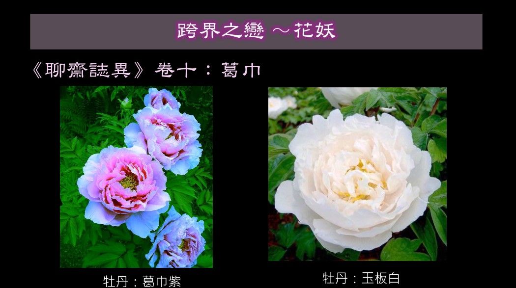 以聊齋故事帶學員認識花卉